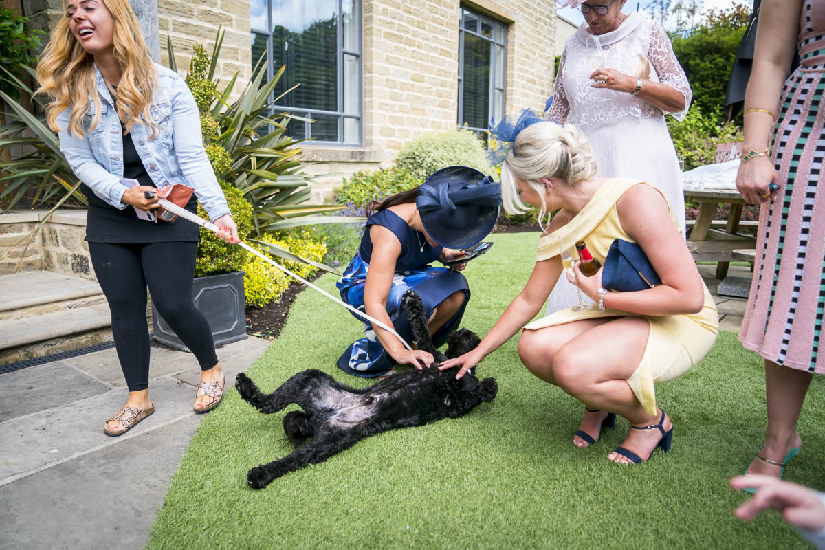 Women petting a happy black dog on grass.