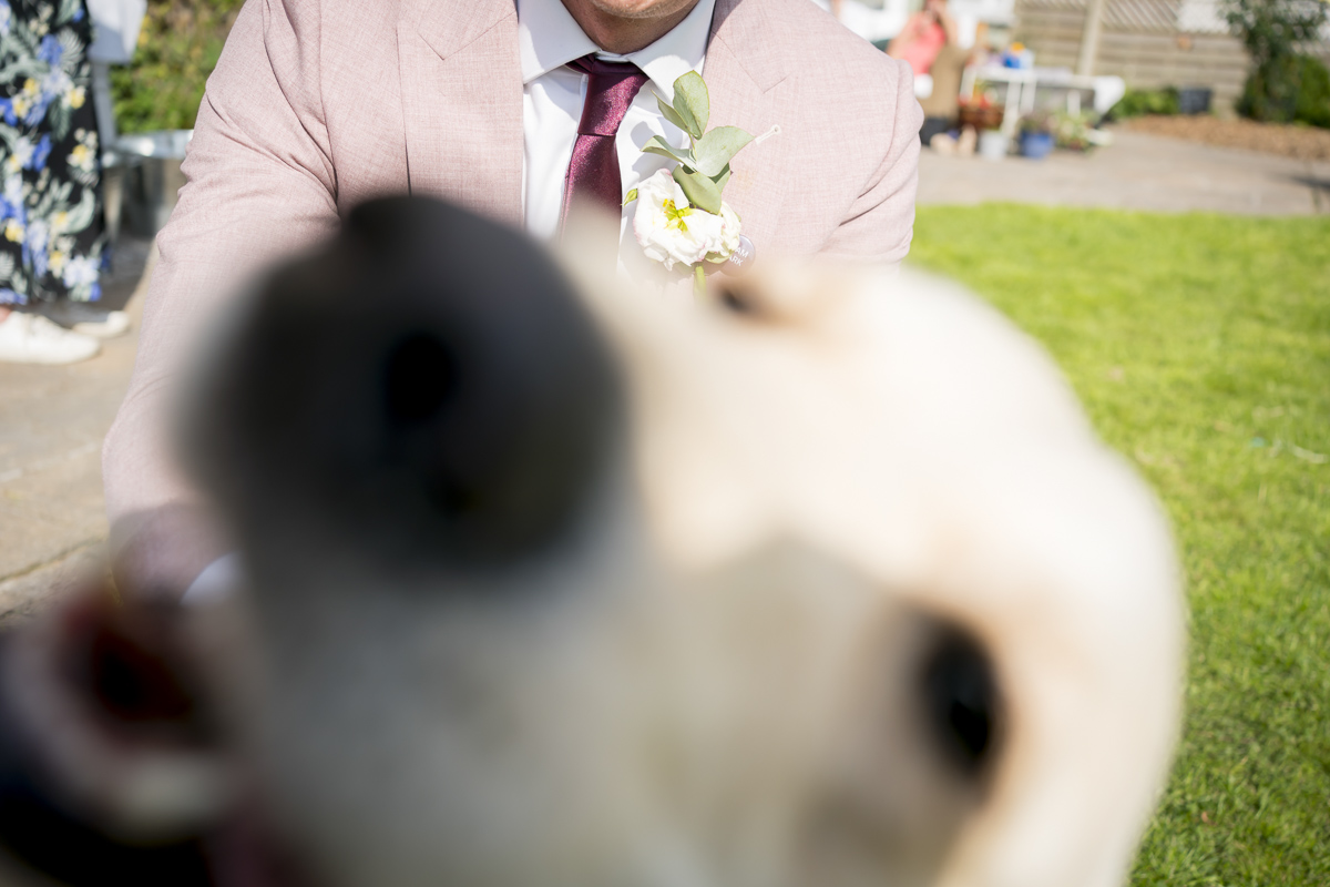 Dog photobombs man's wedding photo