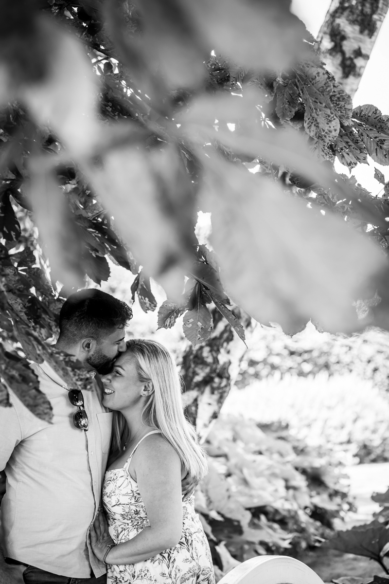 Couple embracing under tree canopy