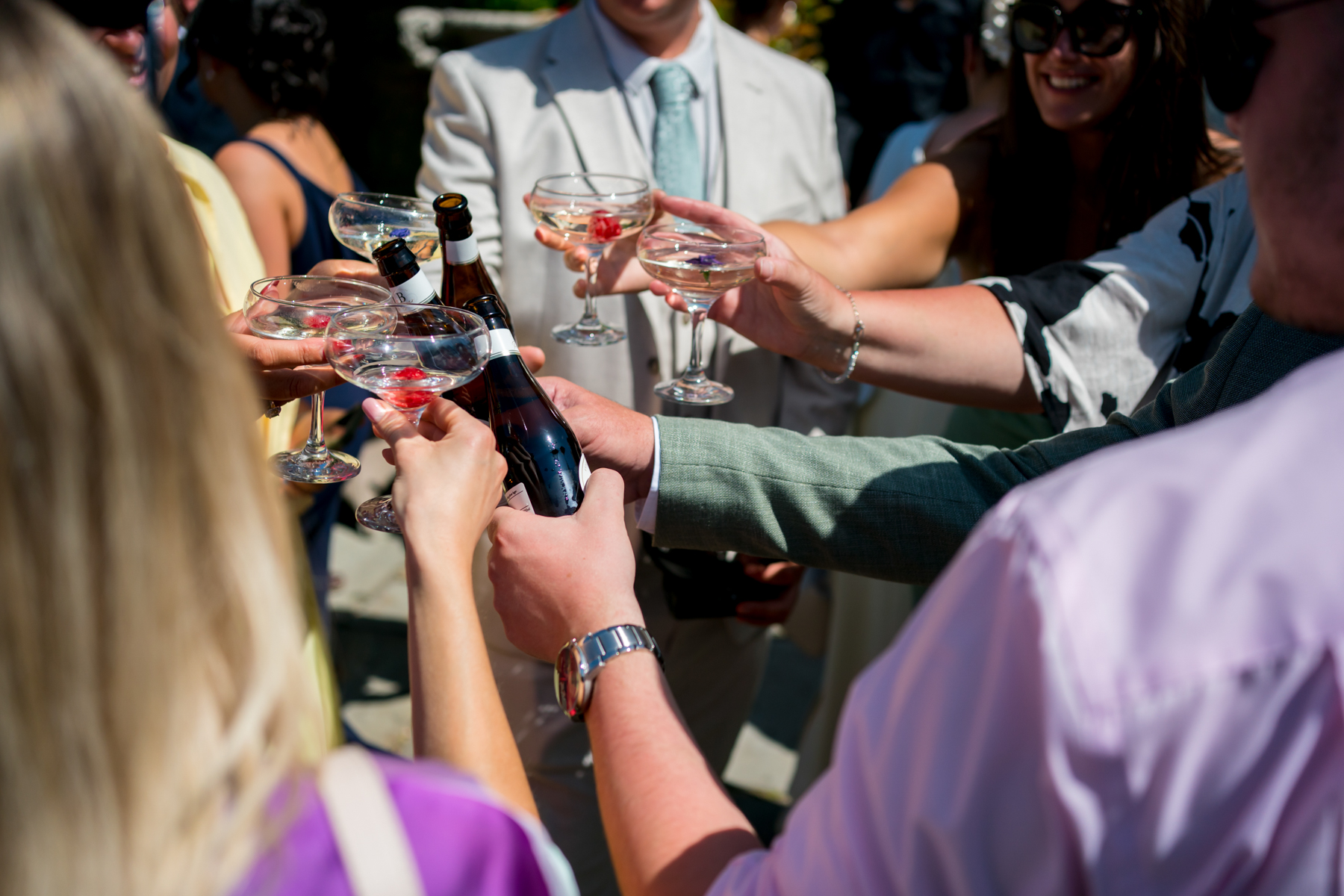 Group toasting with drinks at celebration