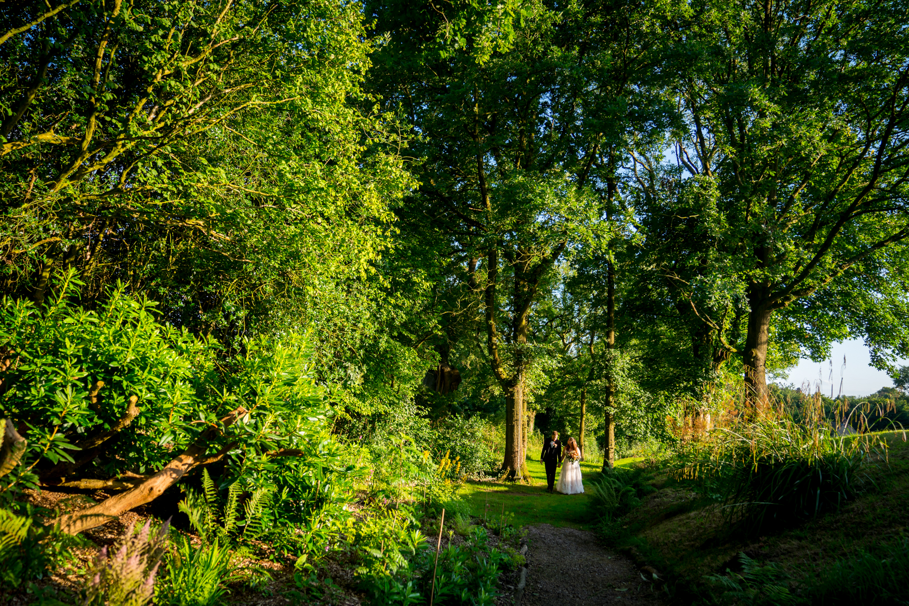 Couple walking through a sunlit forest path.