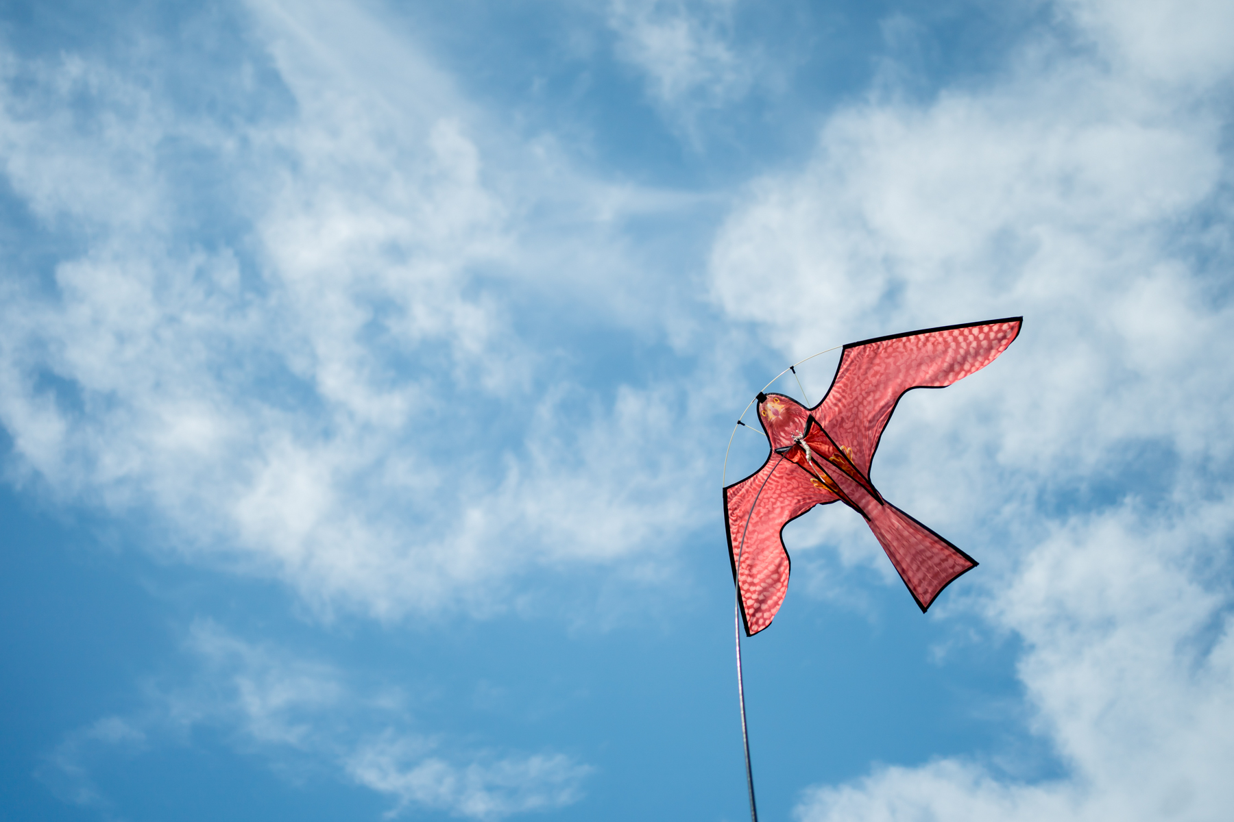 Red bird-shaped kite flying in blue sky