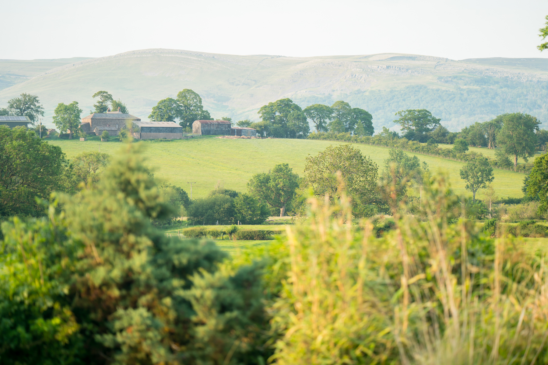 Rural farmhouse amid green fields and rolling hills