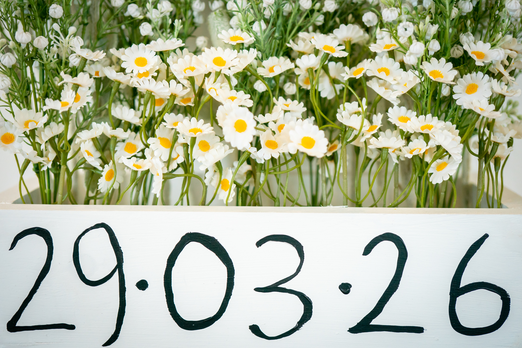 White daisies above handwritten date 29.03.26